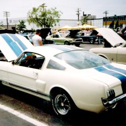 1966 Shelby GT350 Mustang Wimbledon White